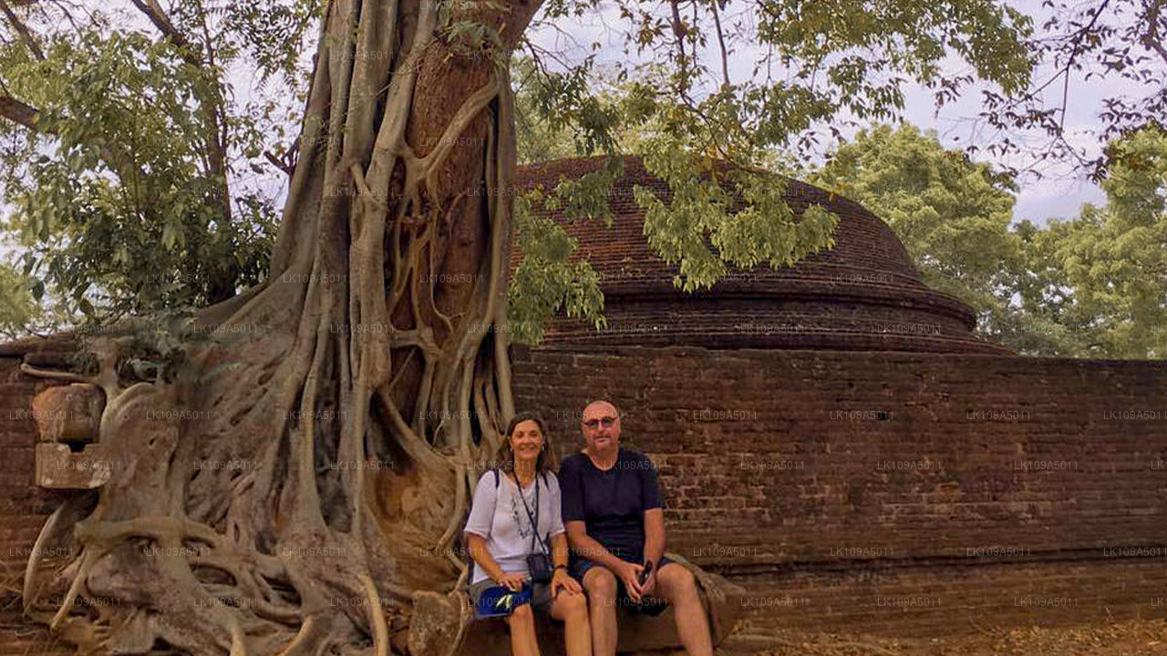 佛教朝圣之旅（9 天）