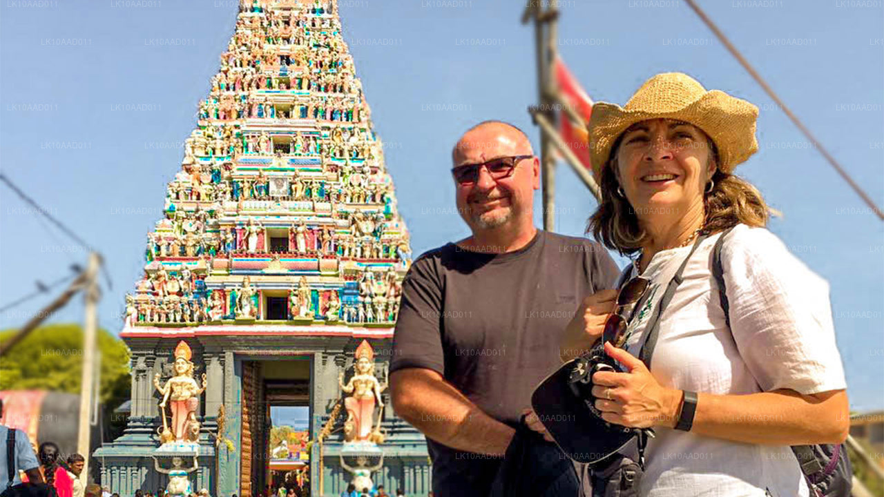 罗摩衍那假期（10 天）