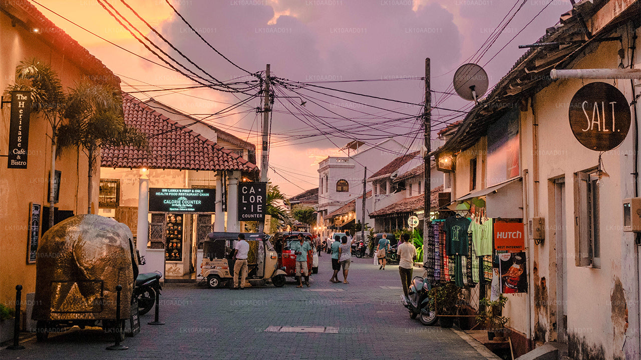 罗摩衍那假期（10 天）