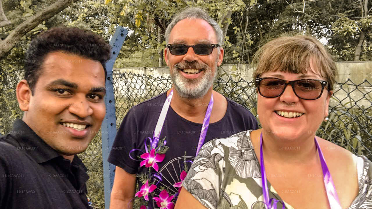 斯里兰卡的野生动物（10 天）