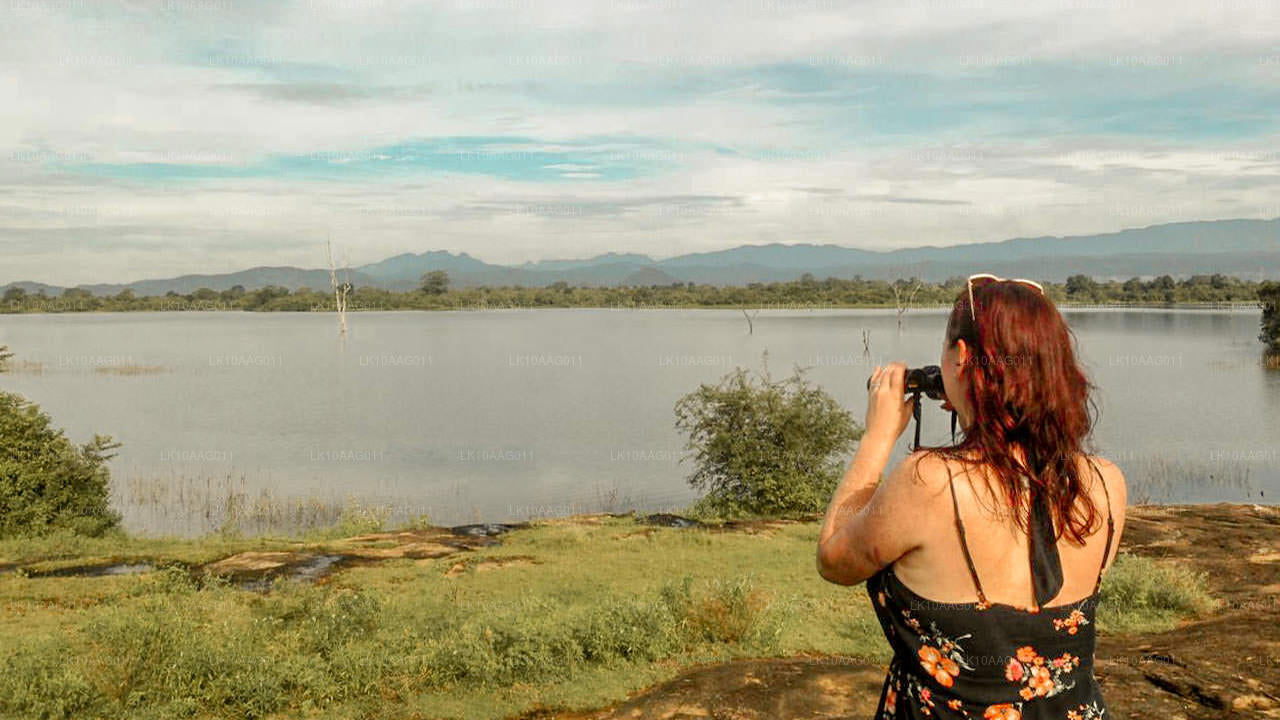 斯里兰卡的野生动物（10 天）