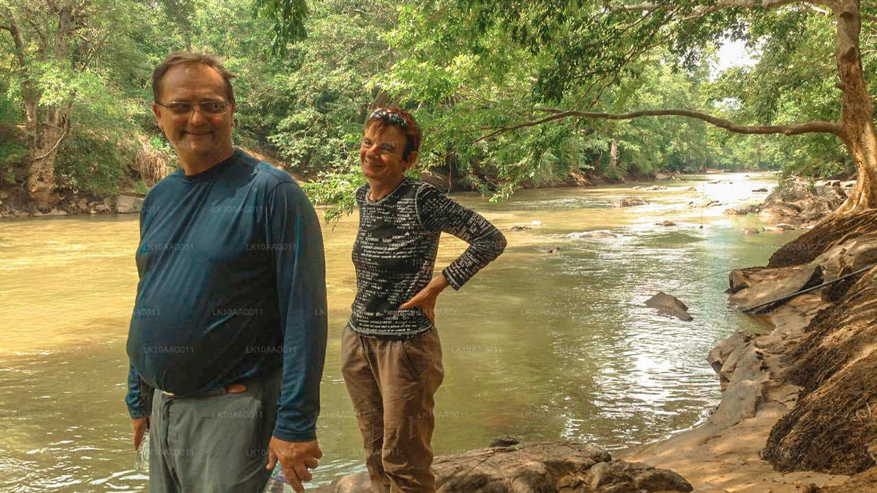 斯里兰卡的野生动物（10 天）