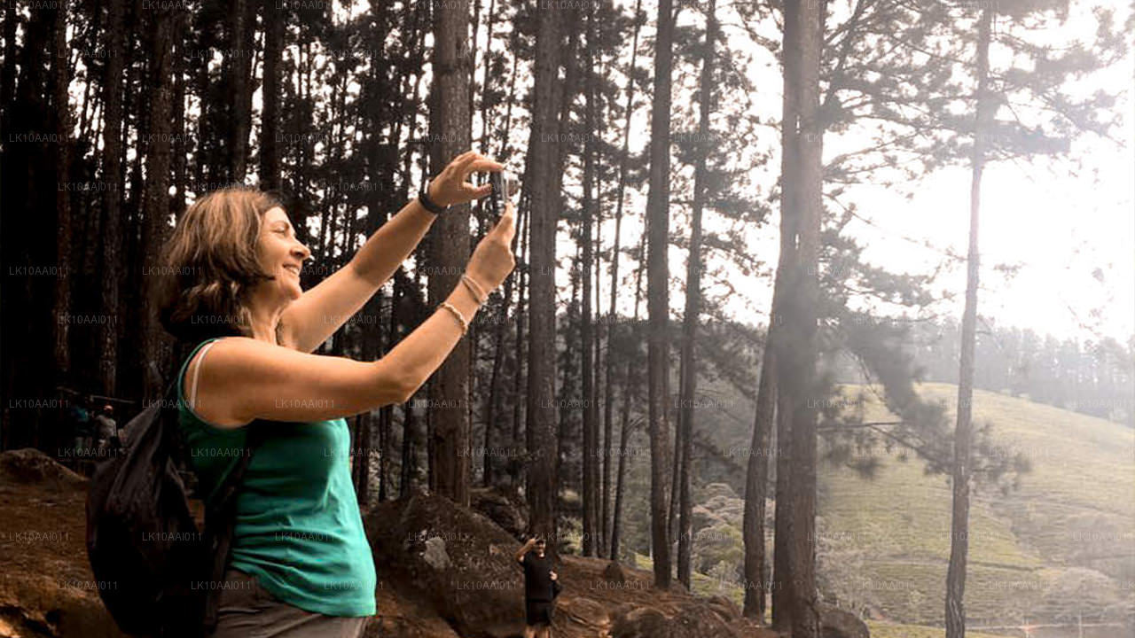 斯里兰卡清真（伊斯兰）之旅（10 天）