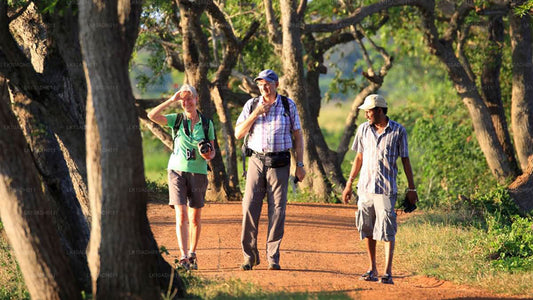 鸟类和野生动物之旅（11 天）