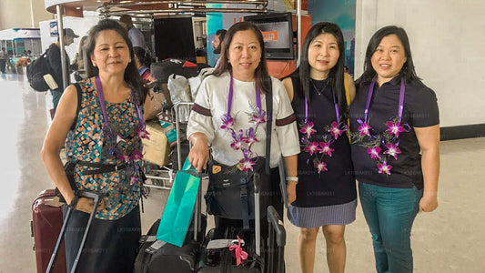 冒险与休闲（11 天）