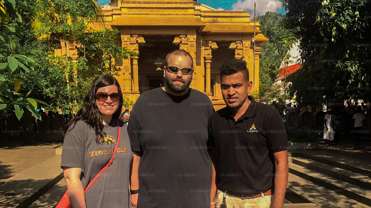 体验东北（11 天）