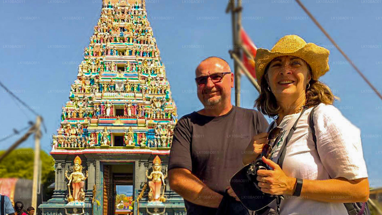 体验东北（11 天）