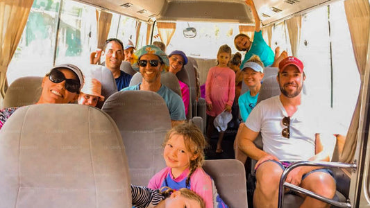 探索避难所（11 天）