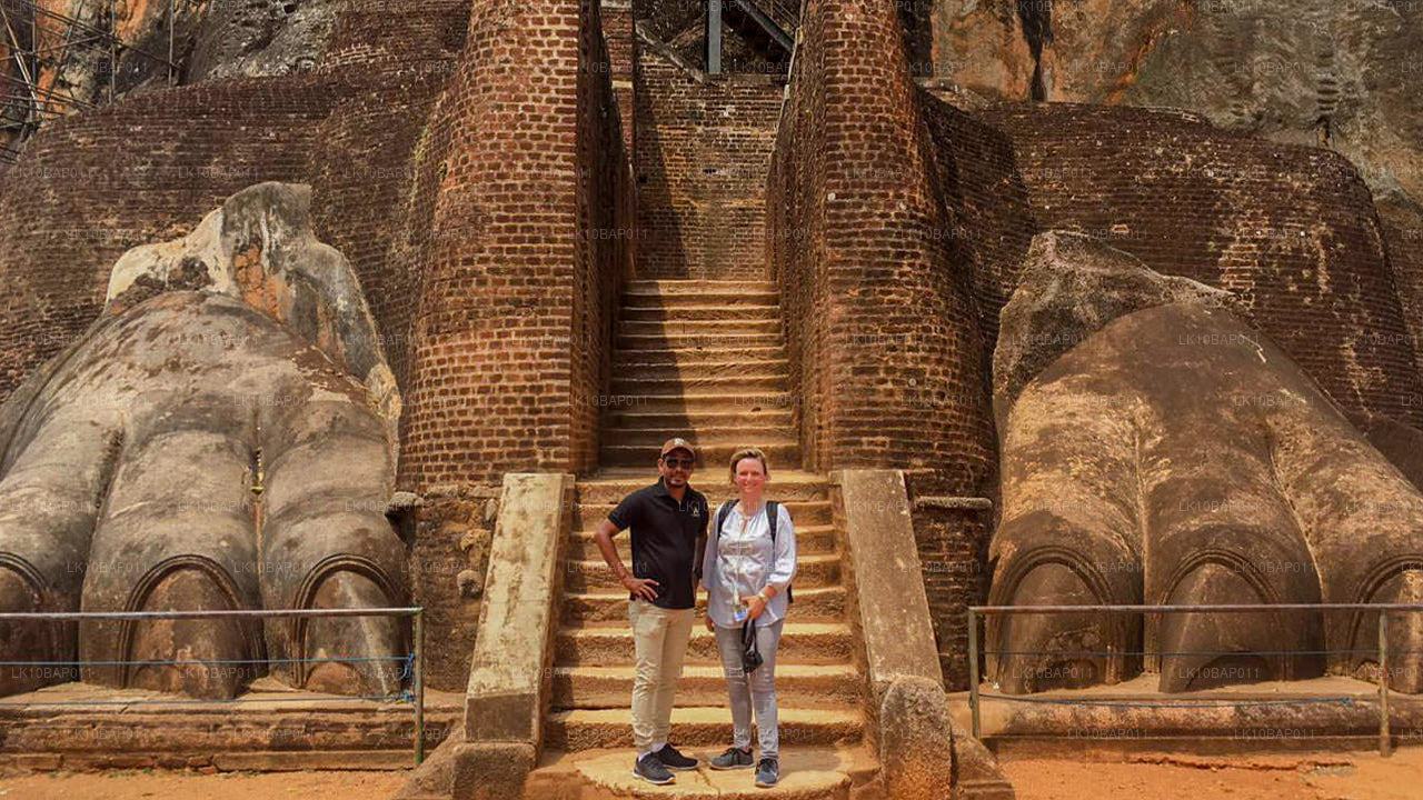 探索避难所（11 天）