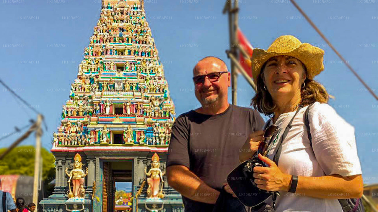 探索避难所（11 天）