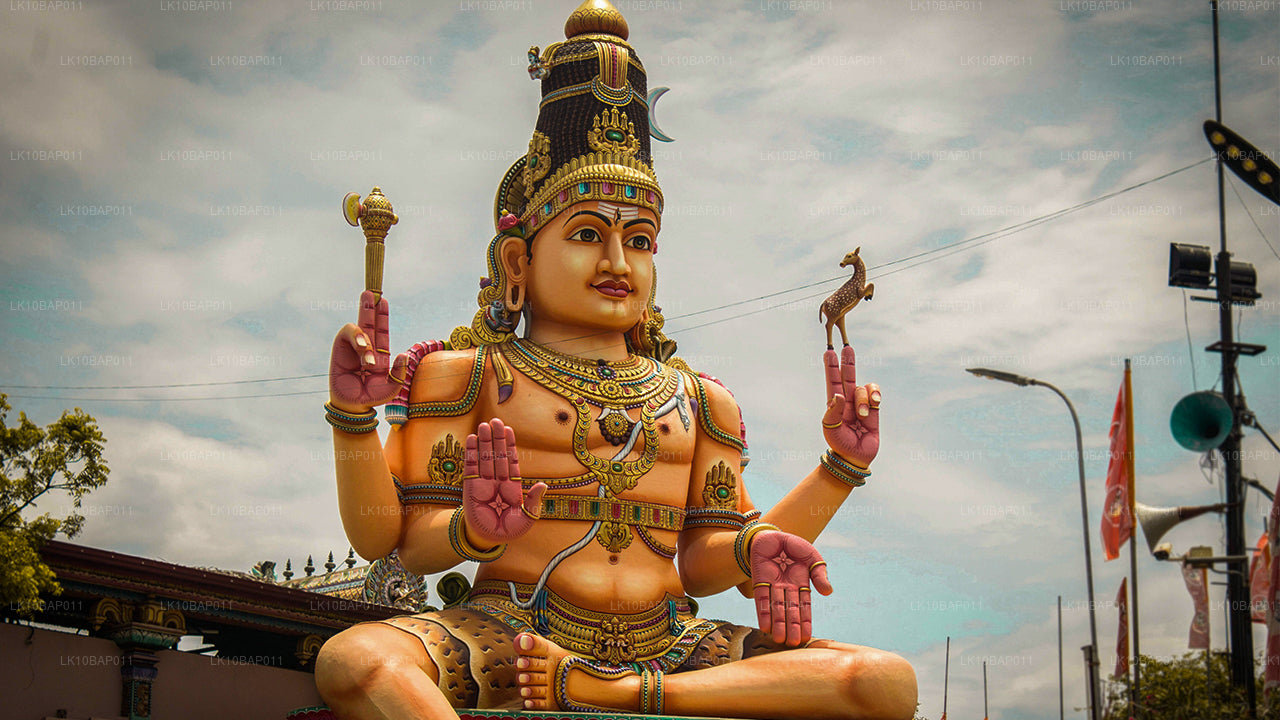 探索避难所（11 天）