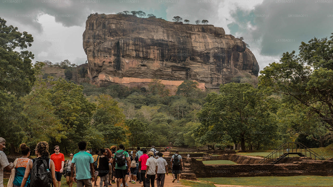 迷失在锡兰（11 天）