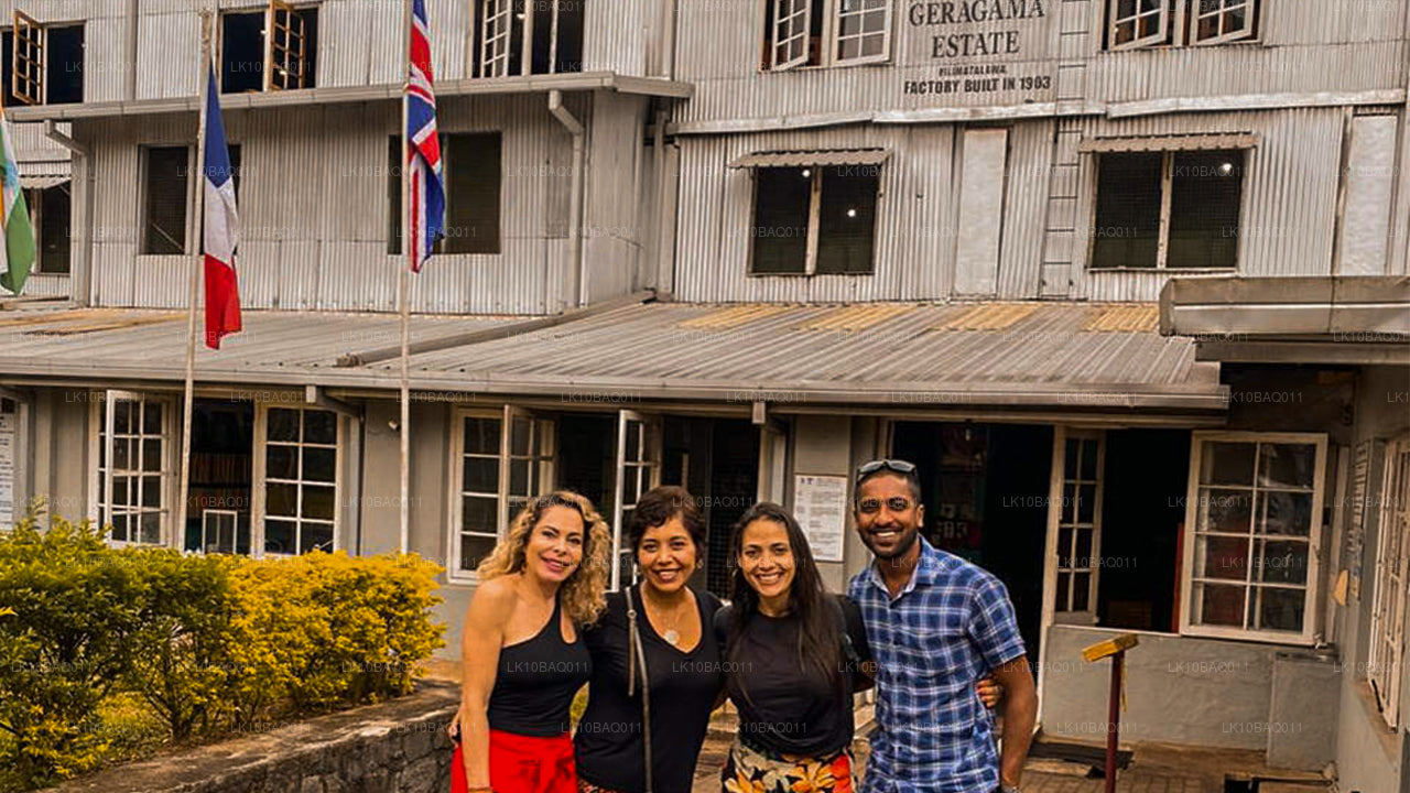 迷失在锡兰（11 天）