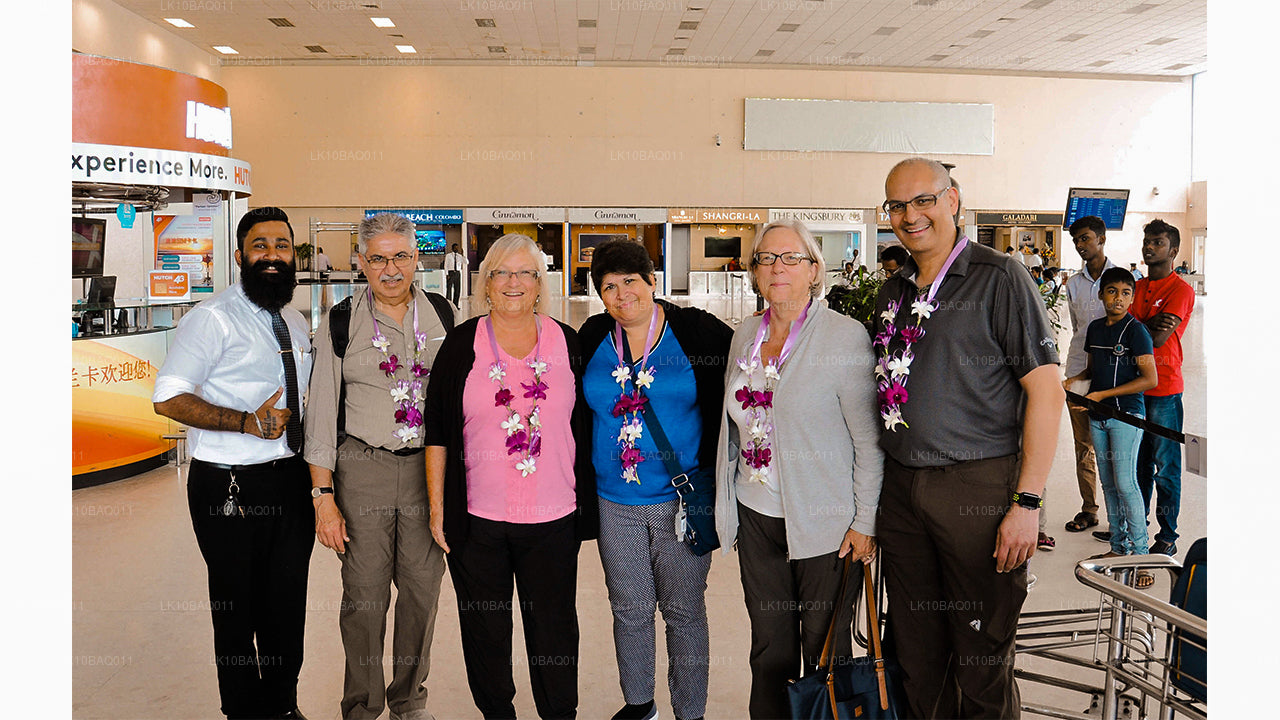 迷失在锡兰（11 天）