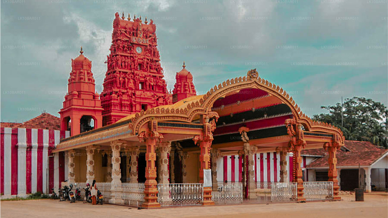 罗摩衍那假期（11 天）