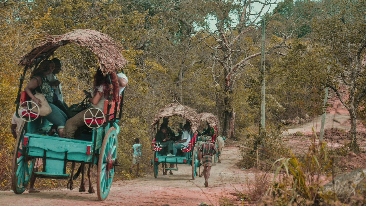 罗摩衍那假期（11 天）