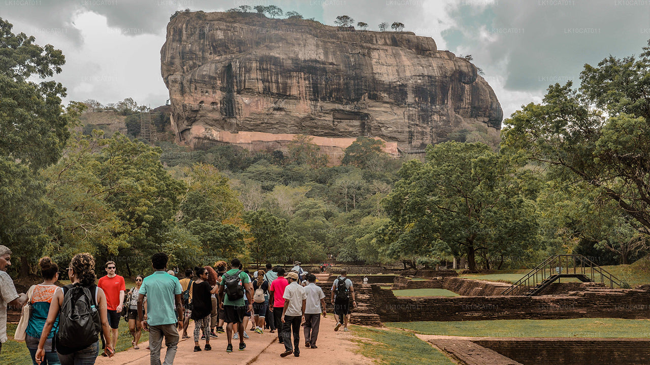 探索、放松与焕活（12天）
