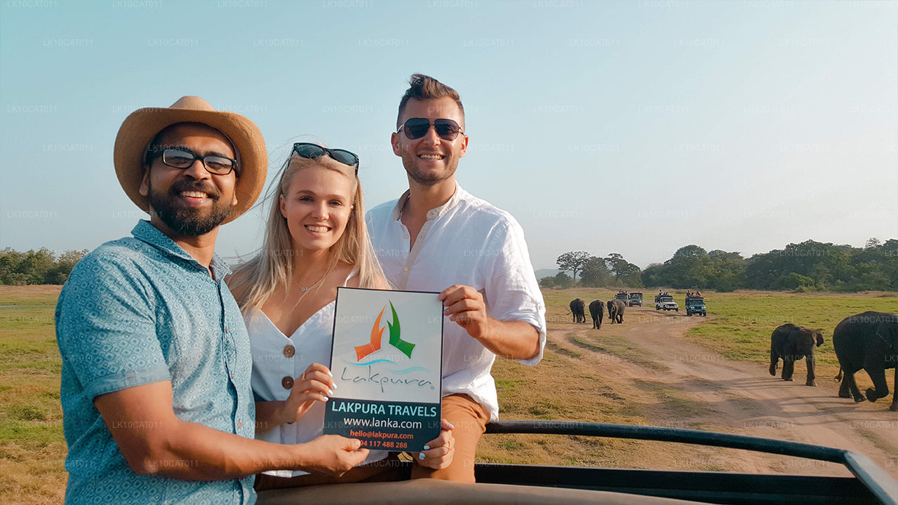 探索、放松与焕活（12天）