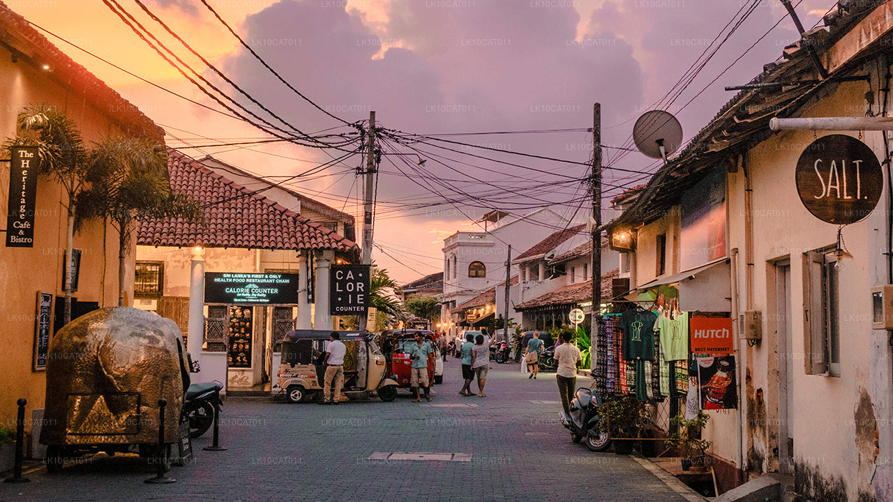 探索、放松与焕活（12天）
