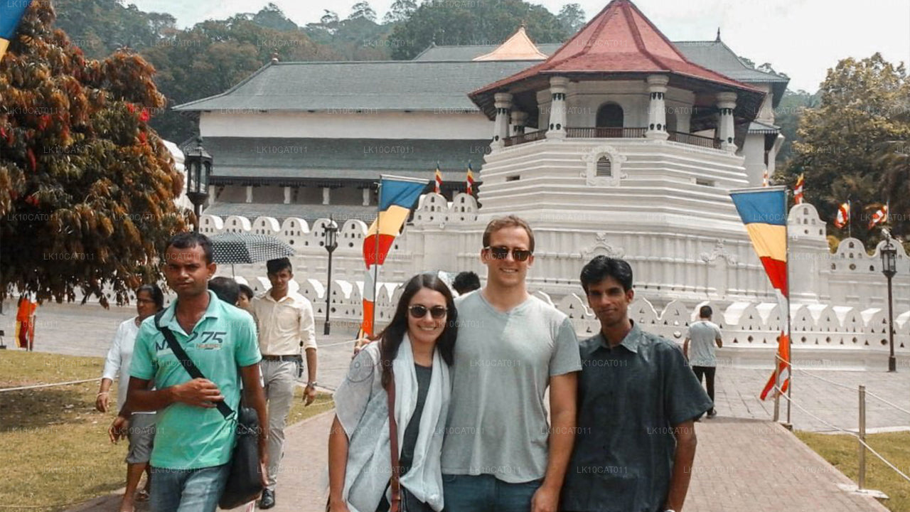 探索、放松与焕活（12天）