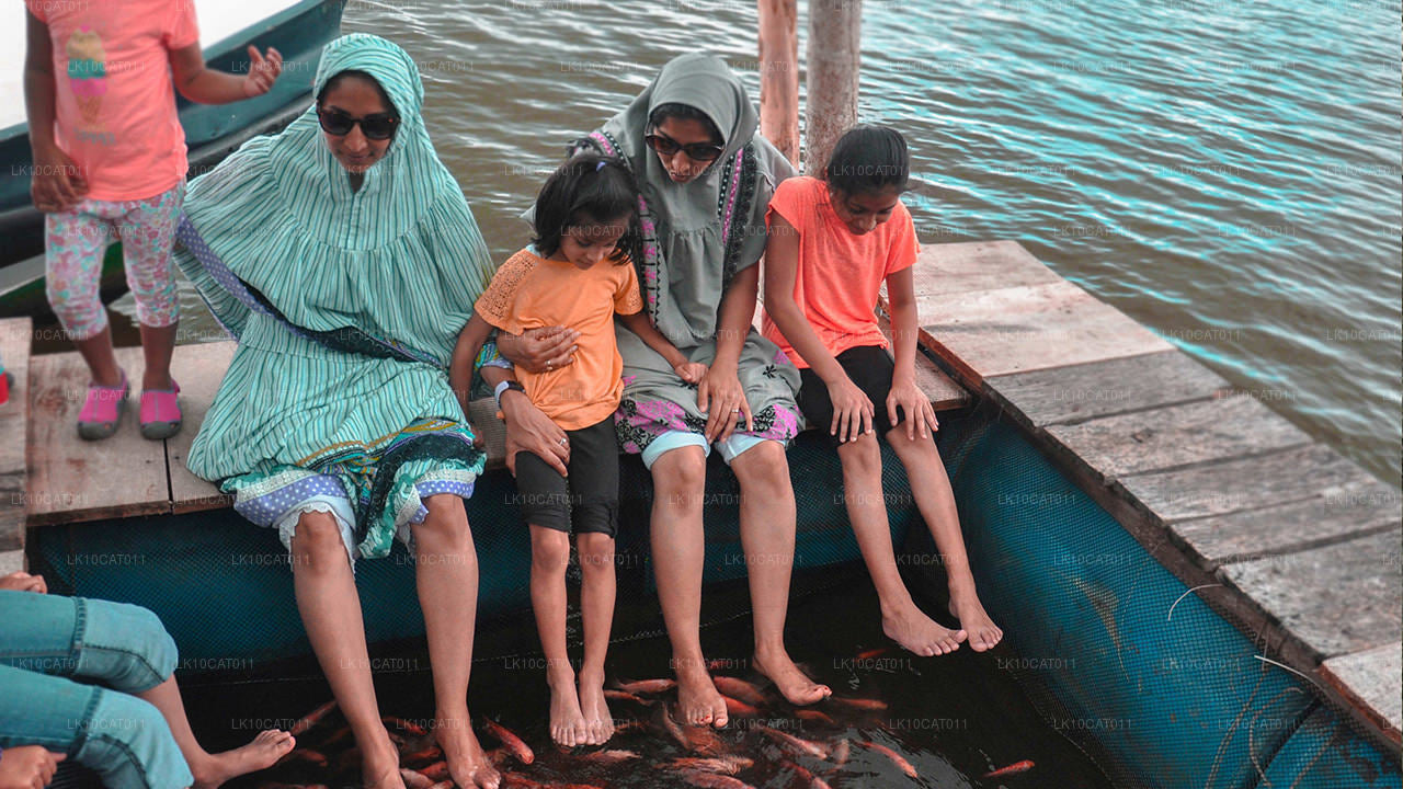 探索、放松与焕活（12天）