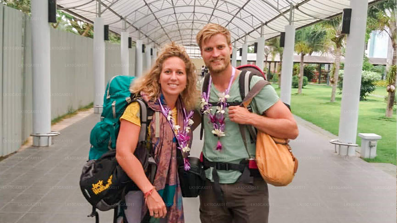 奇幻冒险（12天）