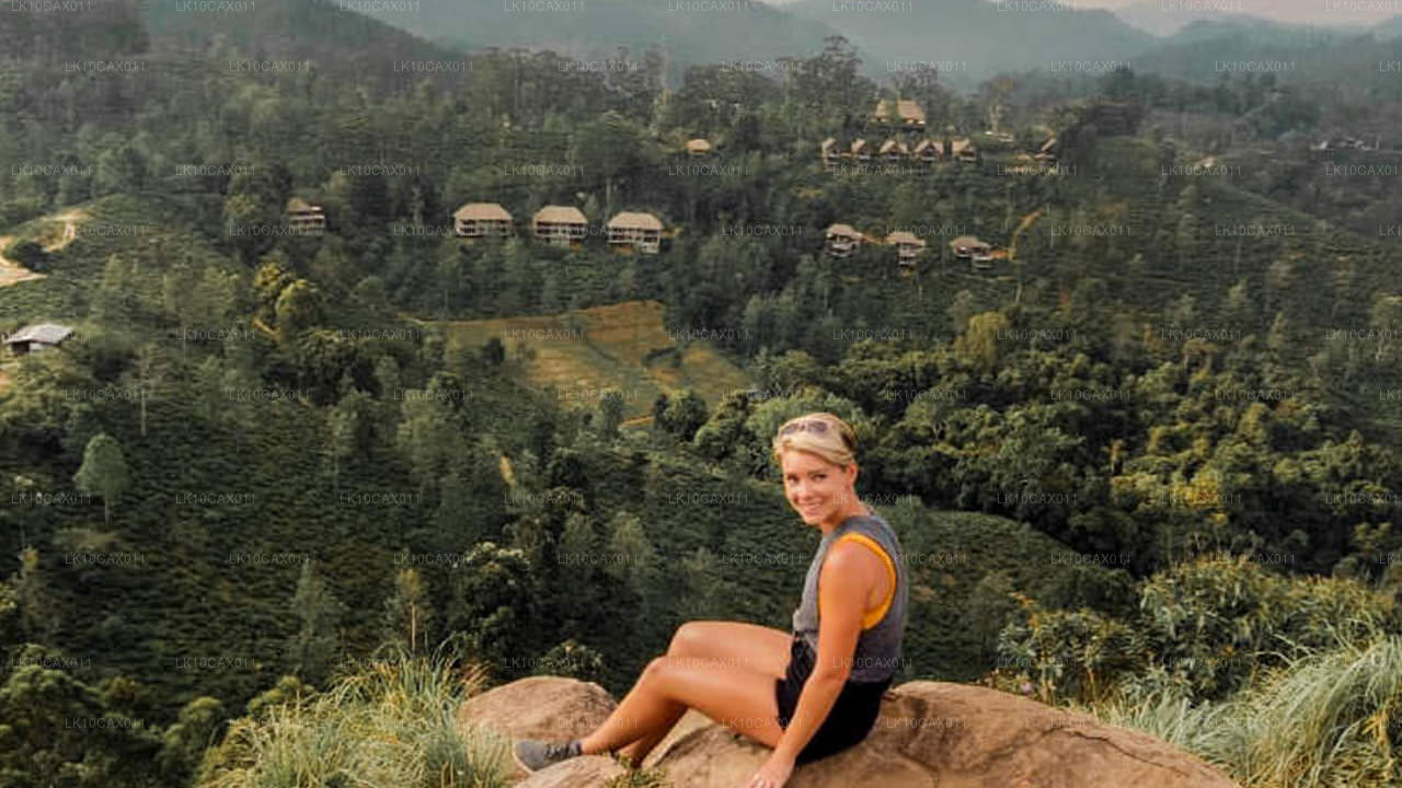 奇幻冒险（12天）