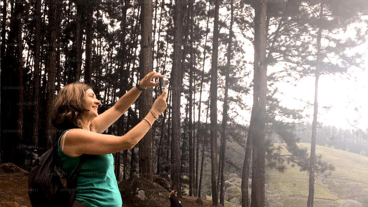 奇幻冒险（12天）