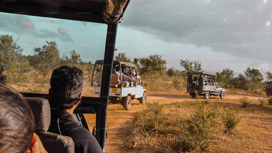 锡兰降临节（13 天）