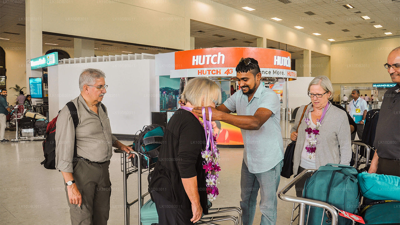 环游锡兰（13天）