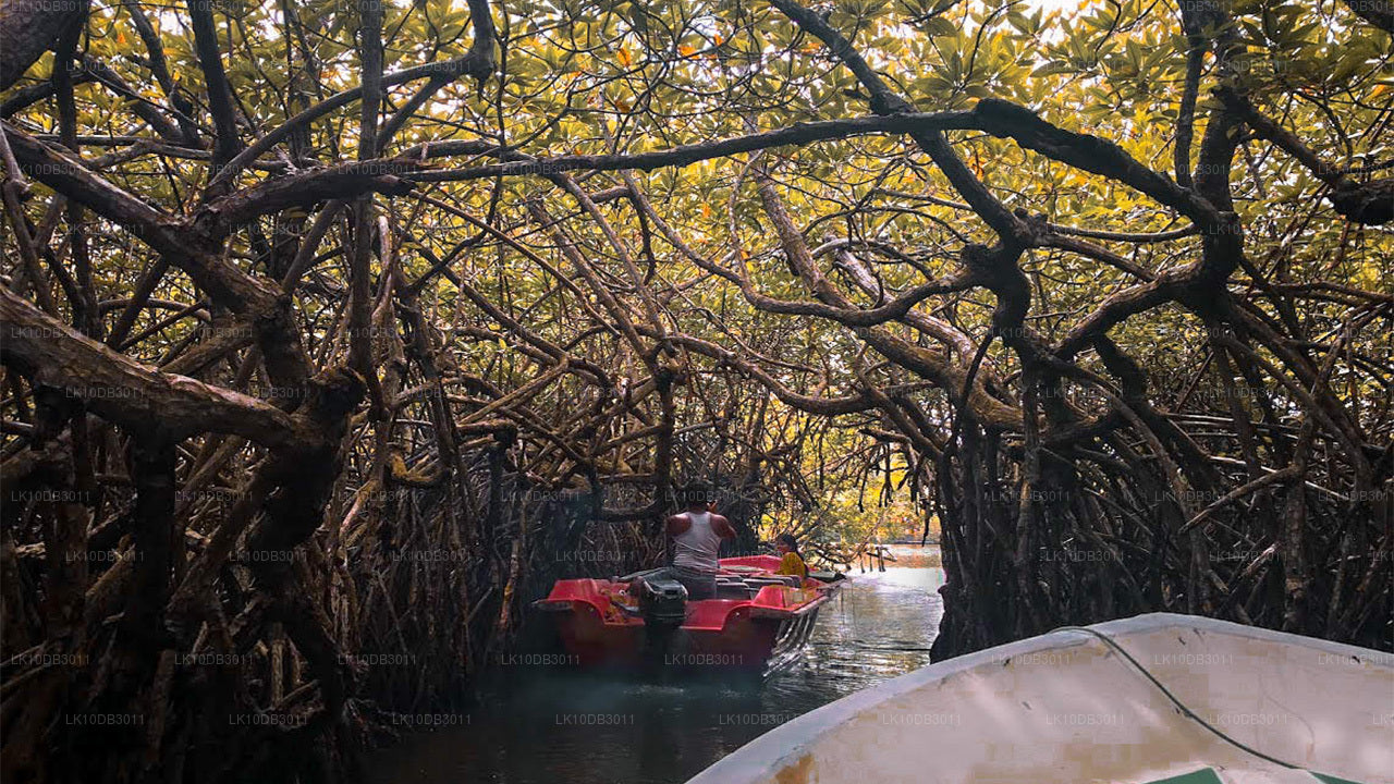 环游锡兰（13天）