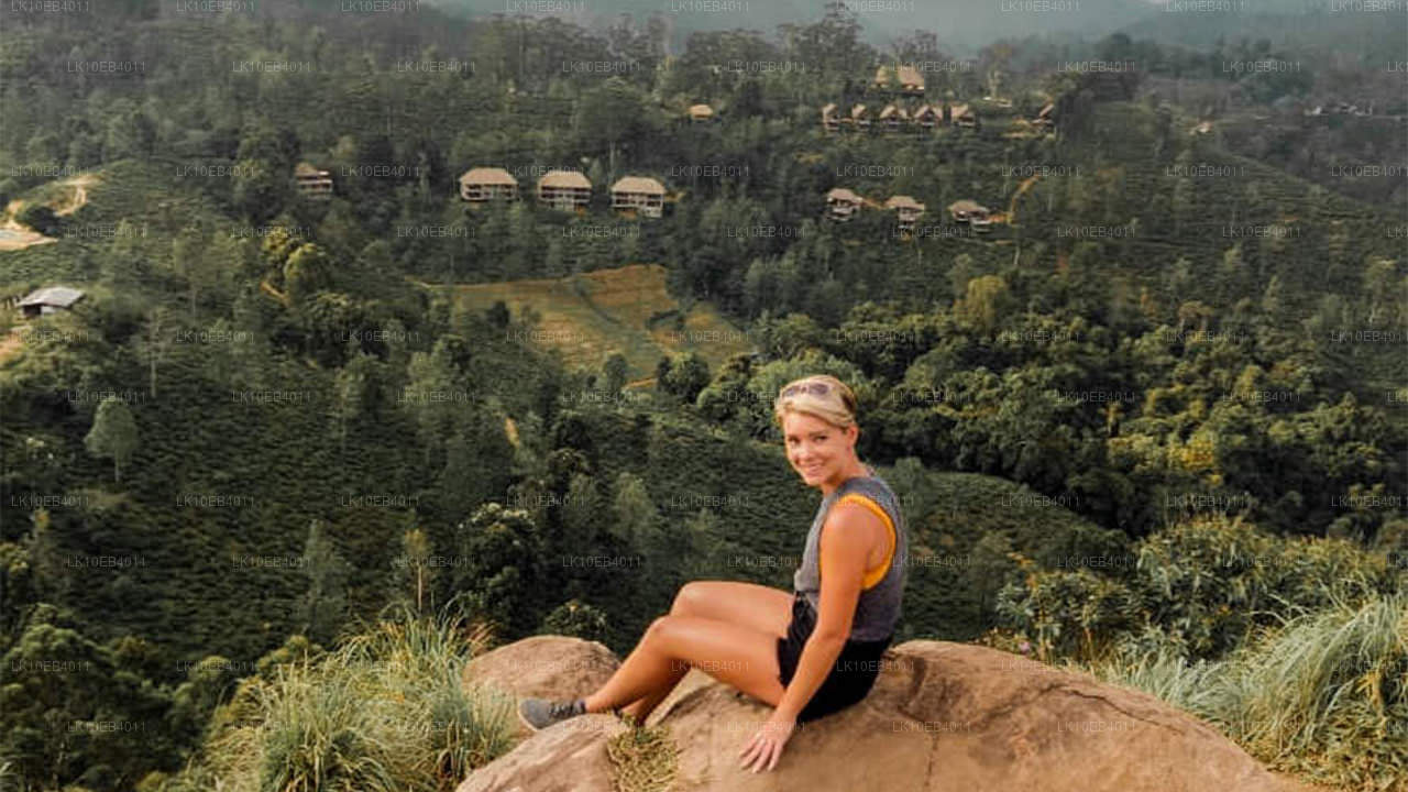 遗产与海滩（14 天）