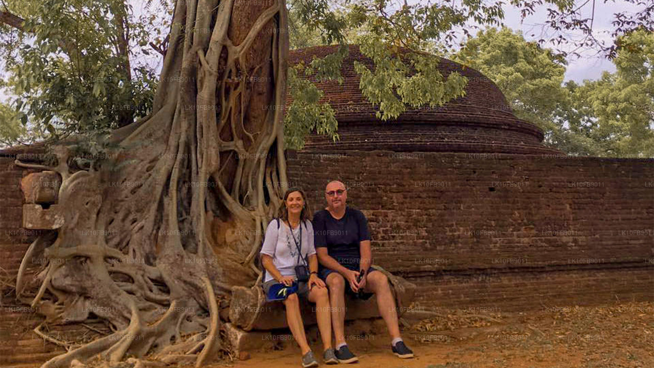 舒缓放松（15天）