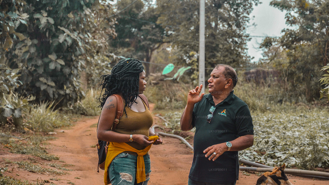 舒缓放松（15天）