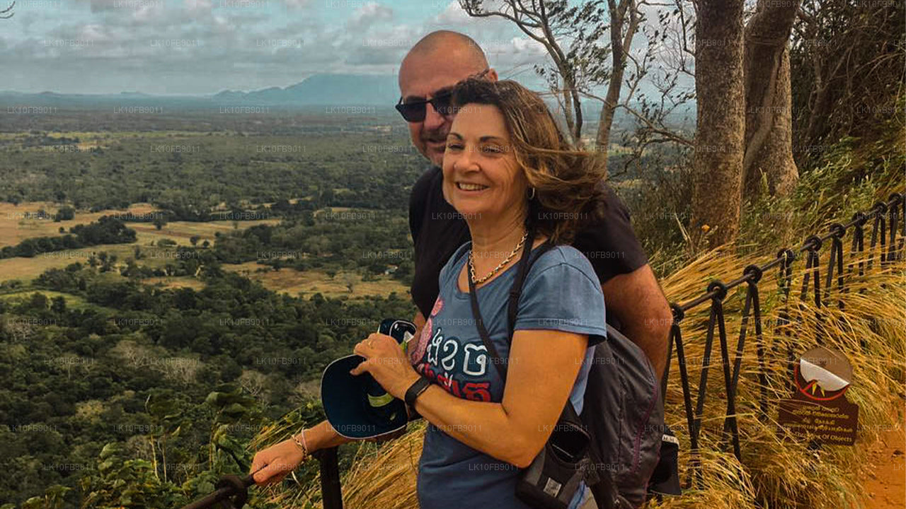 舒缓放松（15天）