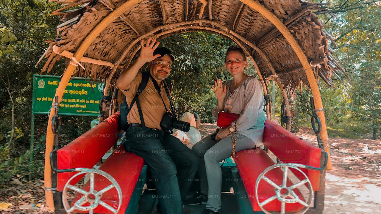 机缘之路（15 天）