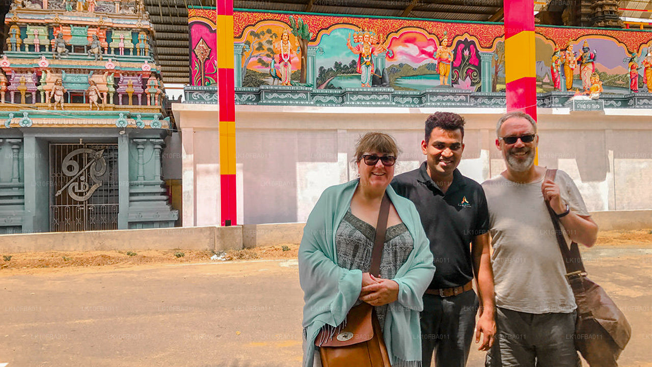 机缘之路（15 天）