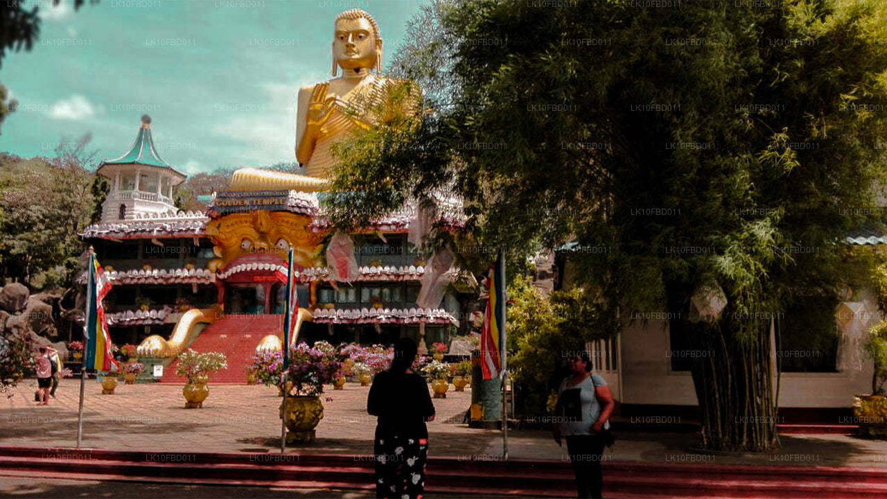 探索天堂（15 天）