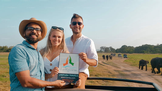 斯里兰卡的珠宝（16 天）