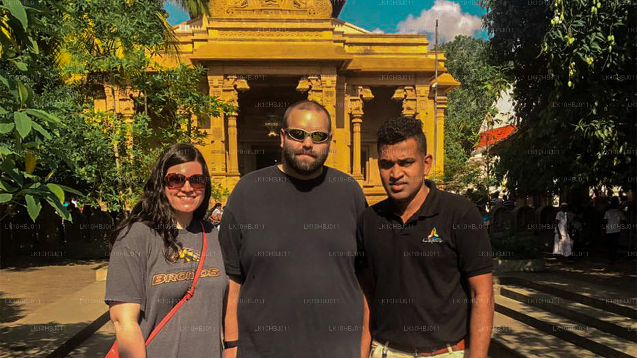 终极斯里兰卡（17 天）