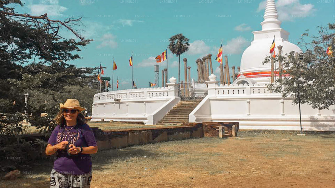 冒险精神（18 天）