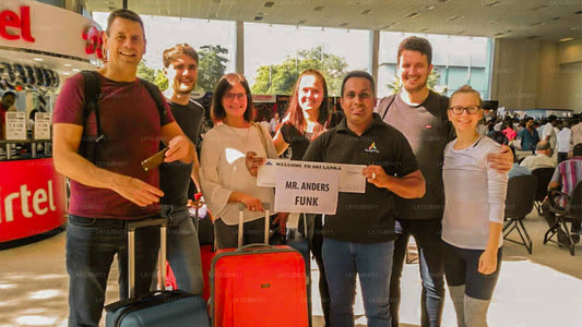 Island Hop（19 天）