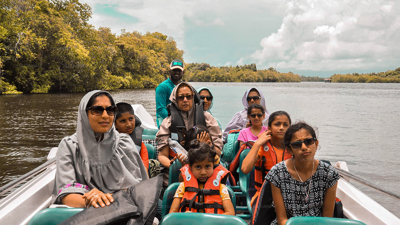 跳岛游（19天）
