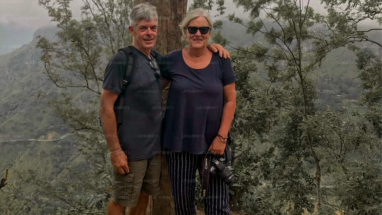 跳岛游（19天）