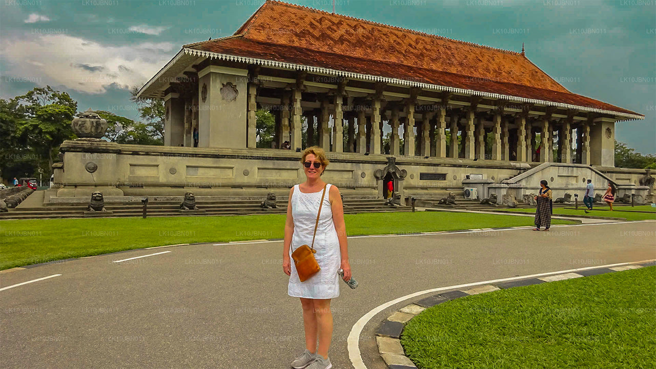 跳岛游（19天）