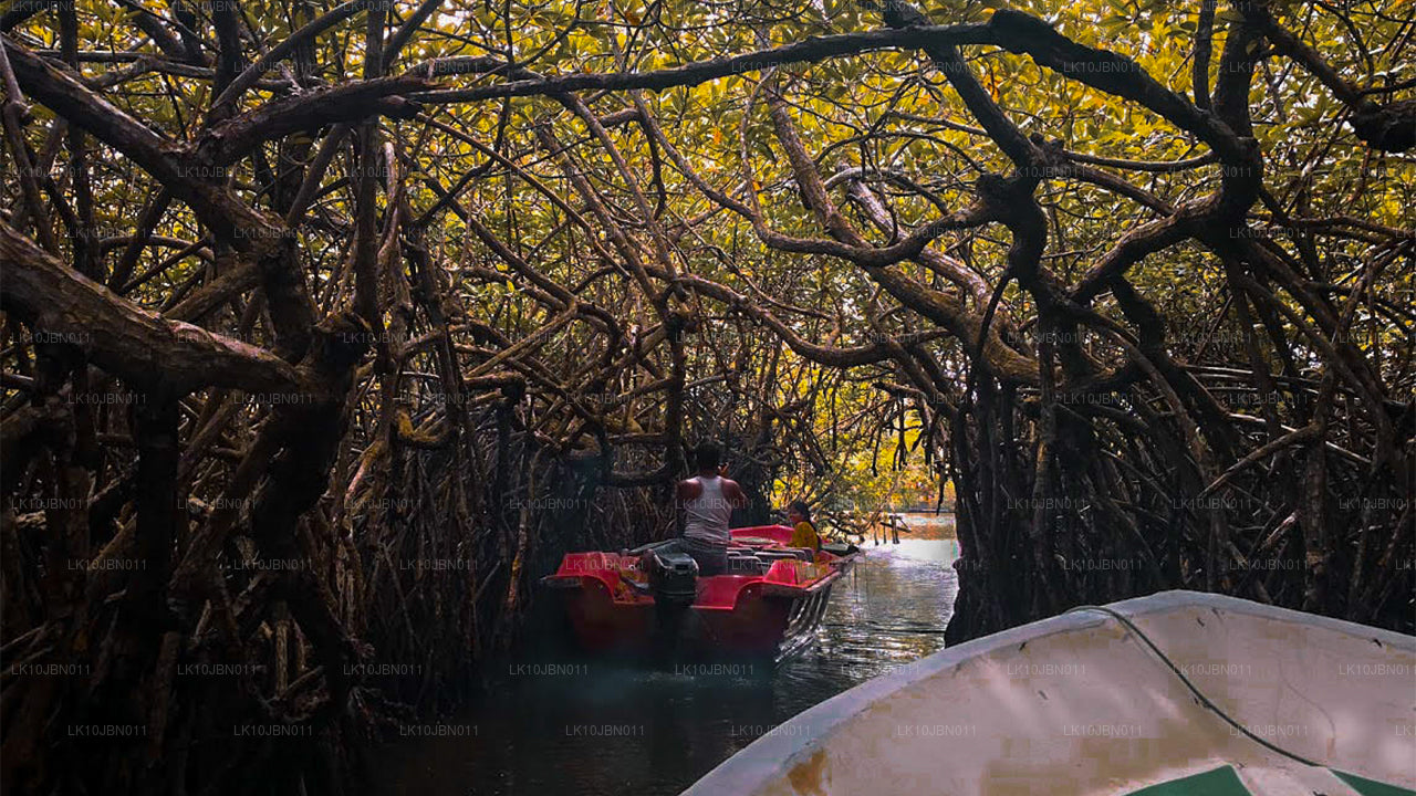 跳岛游（19天）