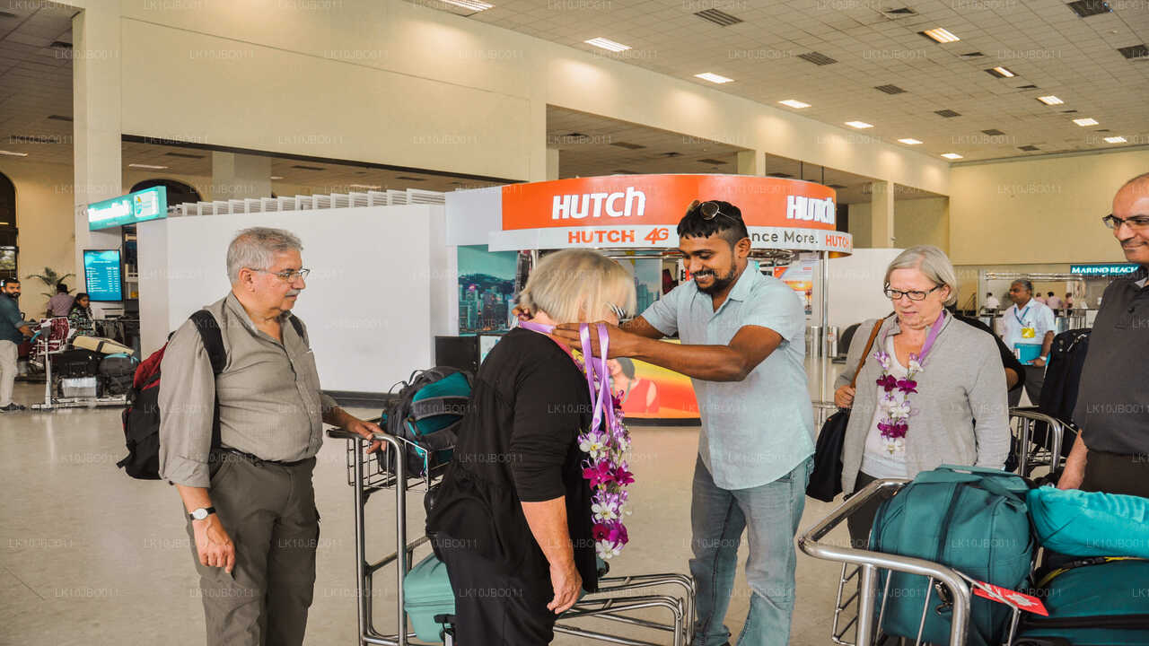 秘密逃脱（19 天）