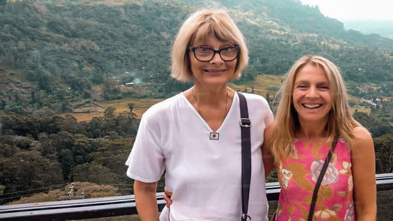 秘密逃脱（19 天）