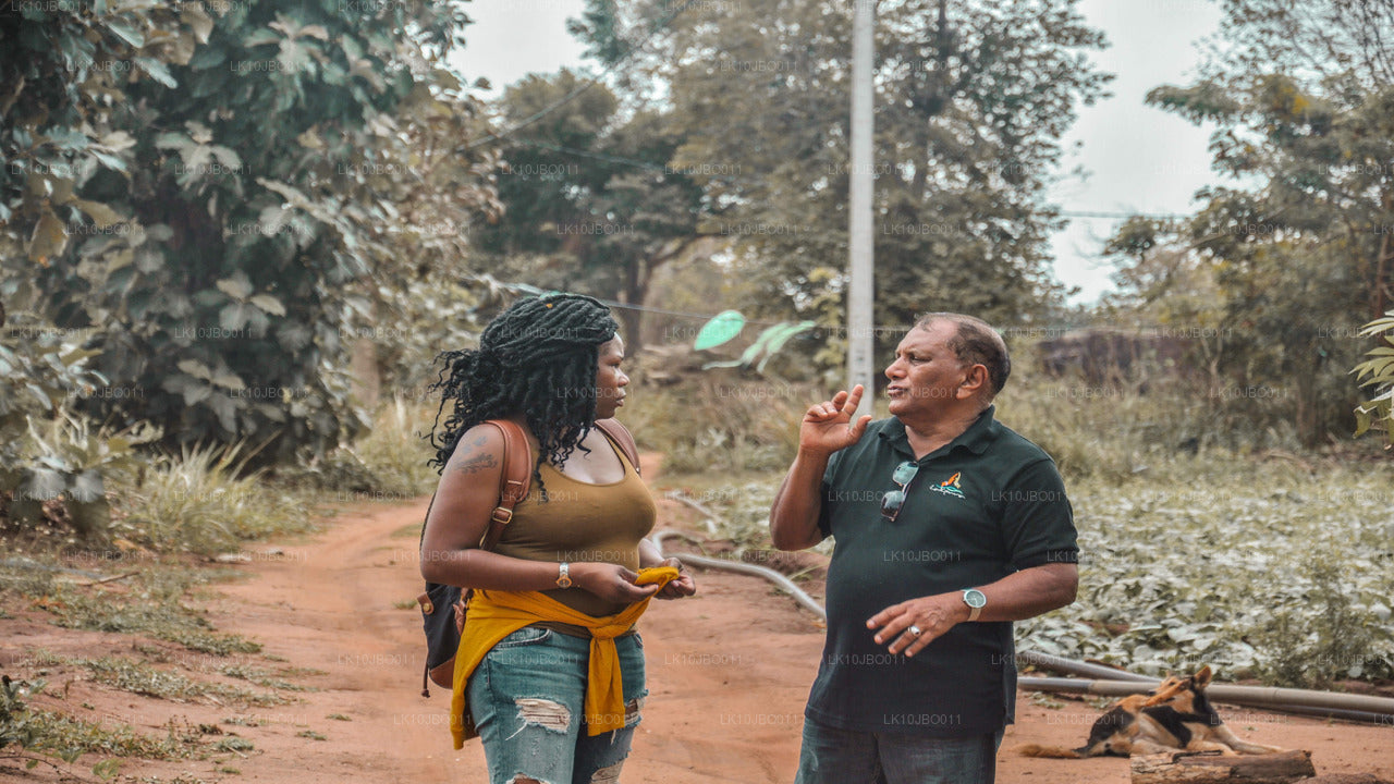 秘密逃脱（19 天）