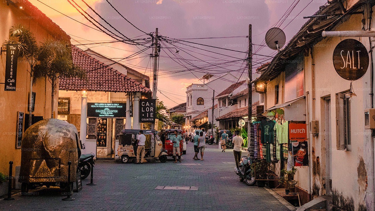 尽情享受刺激（20 天）
